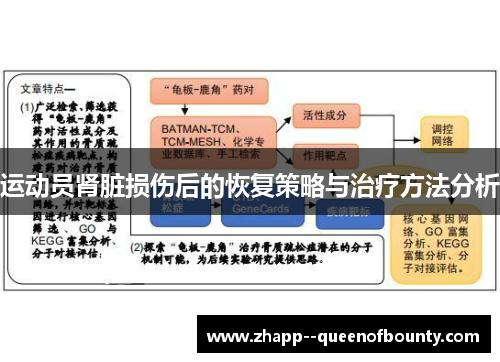 运动员肾脏损伤后的恢复策略与治疗方法分析