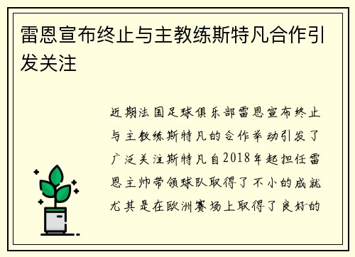 雷恩宣布终止与主教练斯特凡合作引发关注