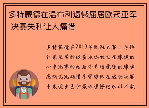 多特蒙德在温布利遗憾屈居欧冠亚军 决赛失利让人痛惜 多特蒙德在温布利遗憾屈居欧冠亚军 决赛失利让人痛惜